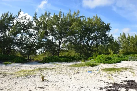 Andros Beachfront Acreage Andros BS