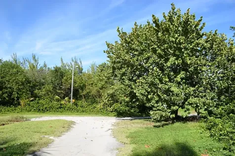 Andros Beachfront Acreage Andros BS