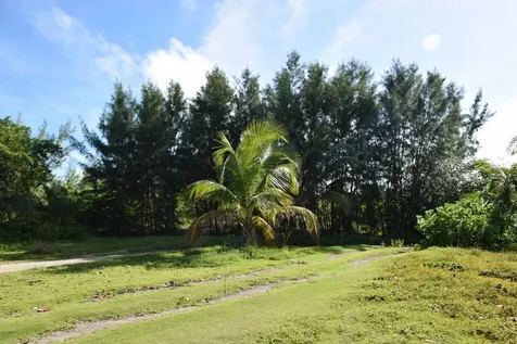 Andros Beachfront Acreage Andros BS