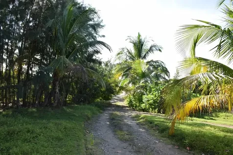 Andros Beachfront Acreage Andros BS