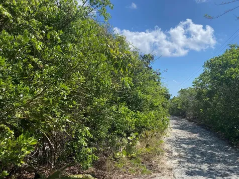 Ocean Boulevard Lots Eleuthera BS