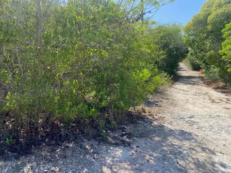 Ocean Boulevard Lots Eleuthera BS