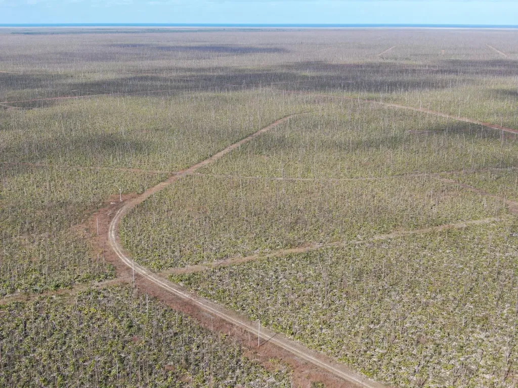 Lucaya Estates 10, 7 & 8 Grand Bahama Freeport BS