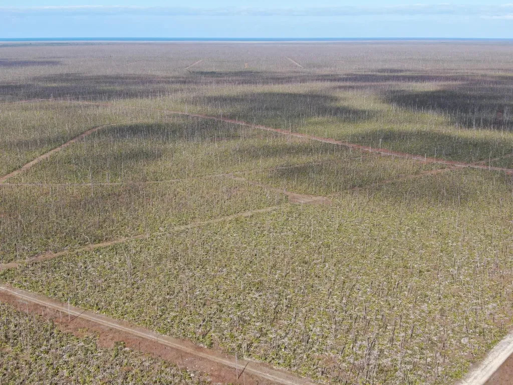 Lucaya Estates 10 Grand Bahama Freeport BS