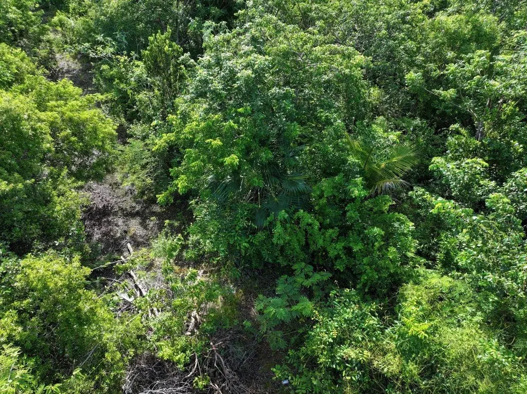 The Bahamas Eleuthera Eleuthera BS