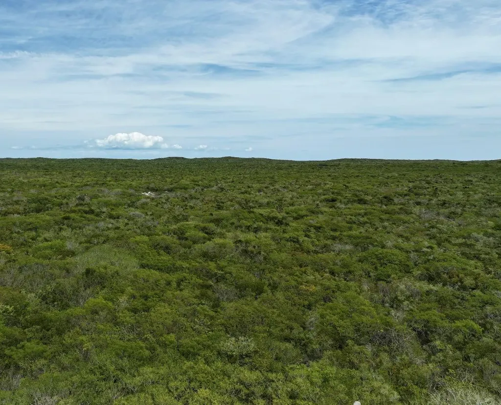 The Bahamas Eleuthera Eleuthera BS