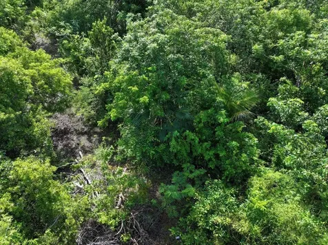 The Bahamas Eleuthera Eleuthera BS