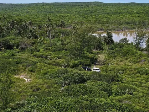 The Bahamas Eleuthera Eleuthera BS