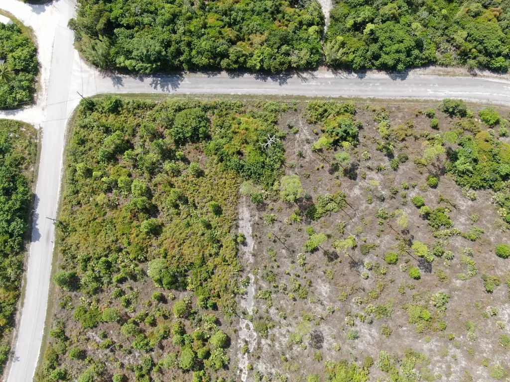 Ingot Drive 4 Grand Bahama Freeport BS