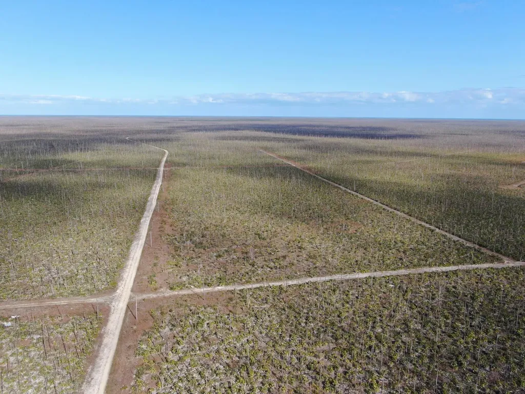 Lucaya Estates 007 Grand Bahama Freeport BS