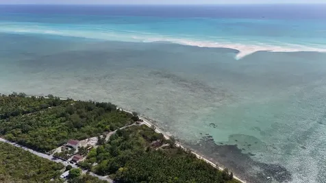 Statyra Vane- Deep Creek Andros BS