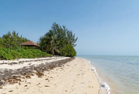 Statyra Vane- Deep Creek Andros BS