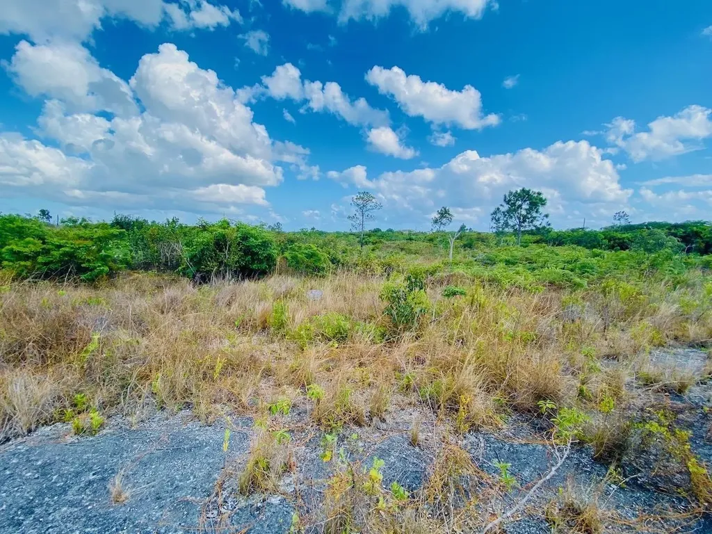 Kopp Street 518 Grand Bahama Freeport BS