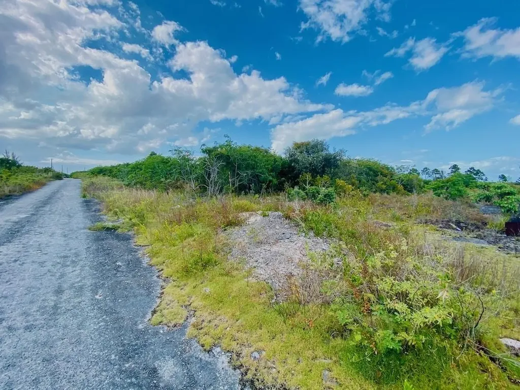 Kopp Street 518 Grand Bahama Freeport BS