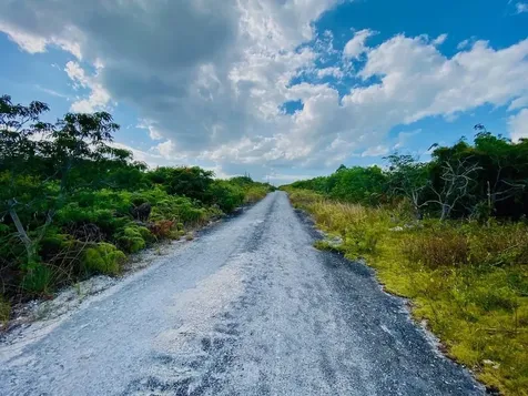 Kopp Street 518 Grand Bahama Freeport BS