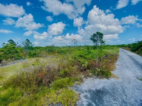 Kopp Street 518 Grand Bahama Freeport BS