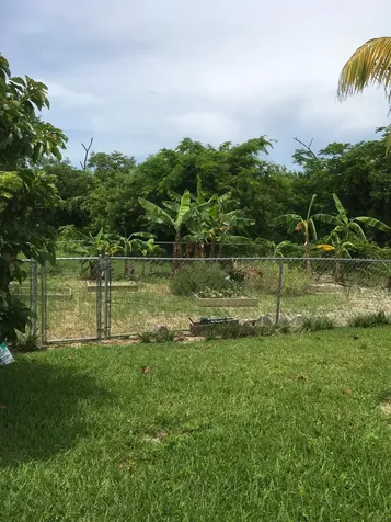 South Bahamia Grand Bahama Freeport BS