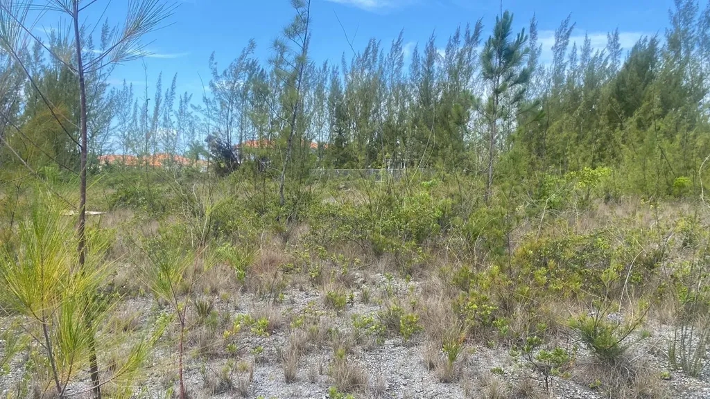 Parcel B Coral Harbor New Providence Paradise Island BS