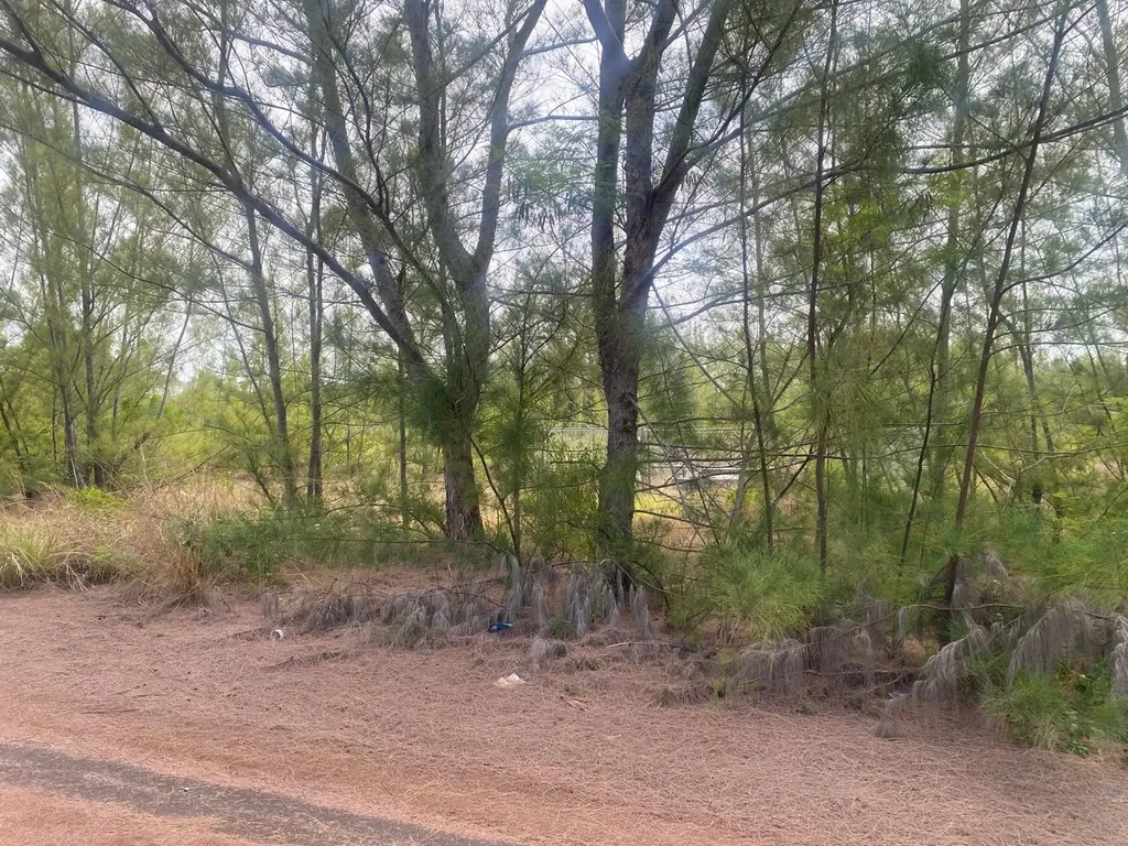 Parcel B Coral Harbor New Providence Paradise Island BS