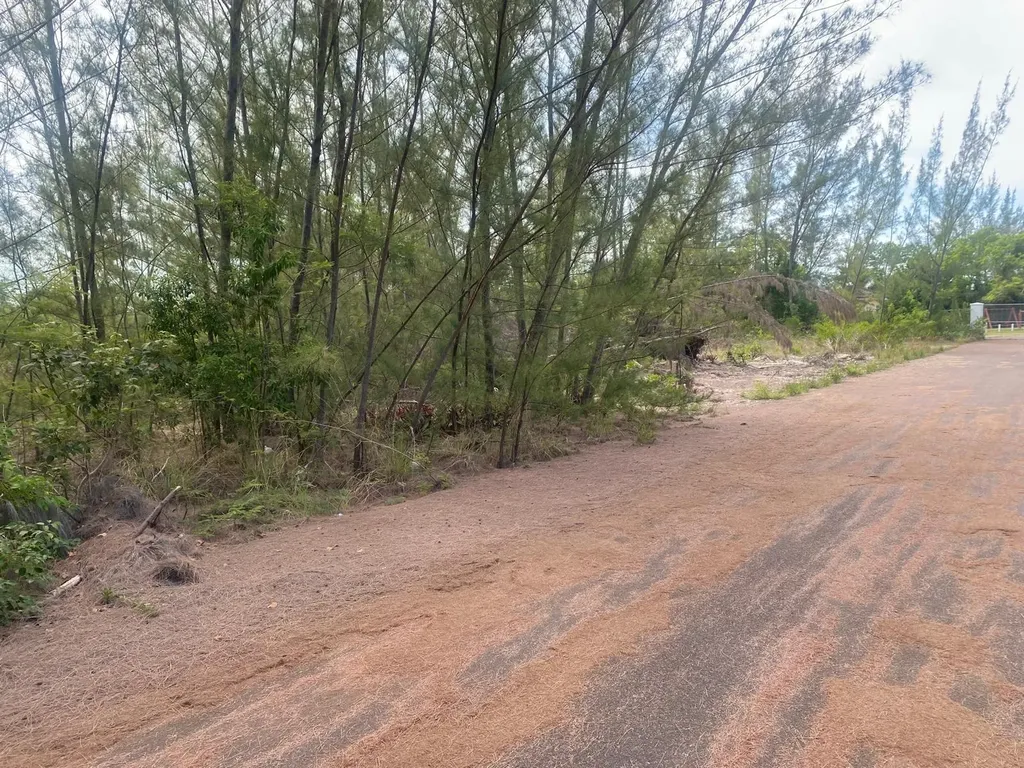 Parcel B Coral Harbor New Providence Paradise Island BS