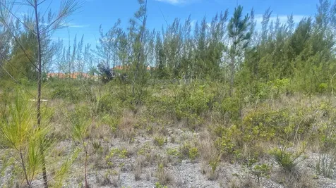 Parcel B Coral Harbor New Providence Paradise Island BS