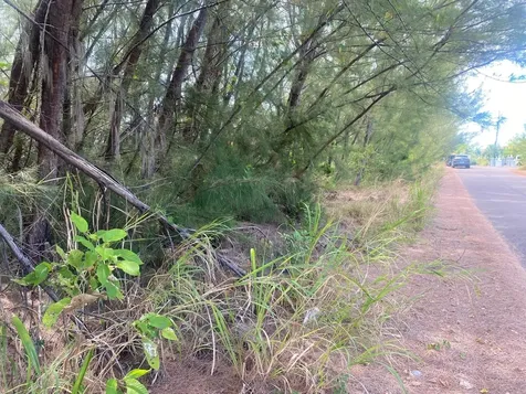 Parcel B Coral Harbor New Providence Paradise Island BS