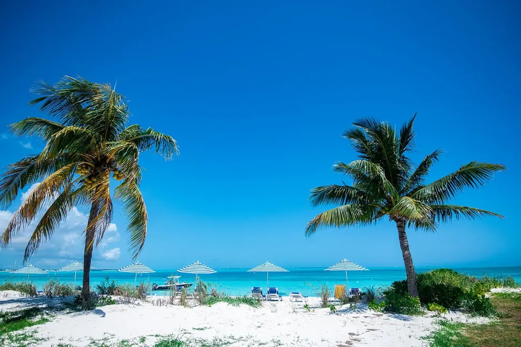 Bahama Beach Club 2070 Abaco BS