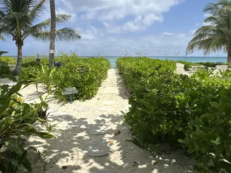 West Bay Stret New Providence Paradise Island BS