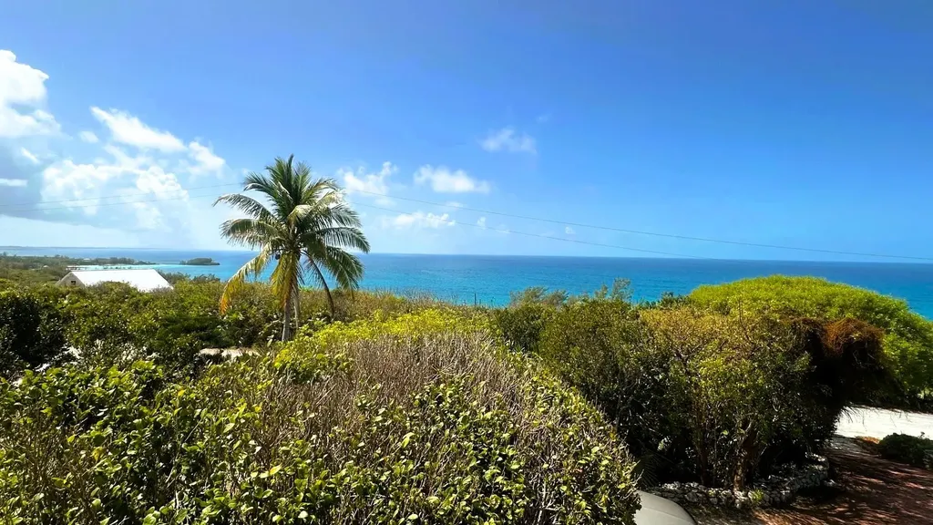Honey Creeper Road Eleuthera BS