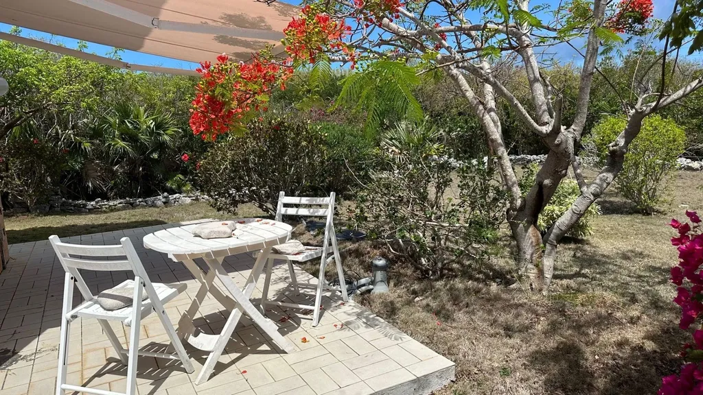 Honey Creeper Road Eleuthera BS