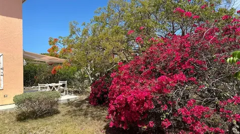 Honey Creeper Road Eleuthera BS