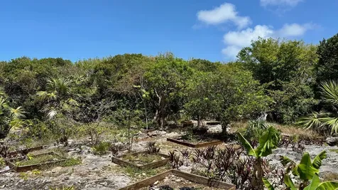Honey Creeper Road Eleuthera BS