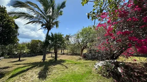 Honey Creeper Road Eleuthera BS
