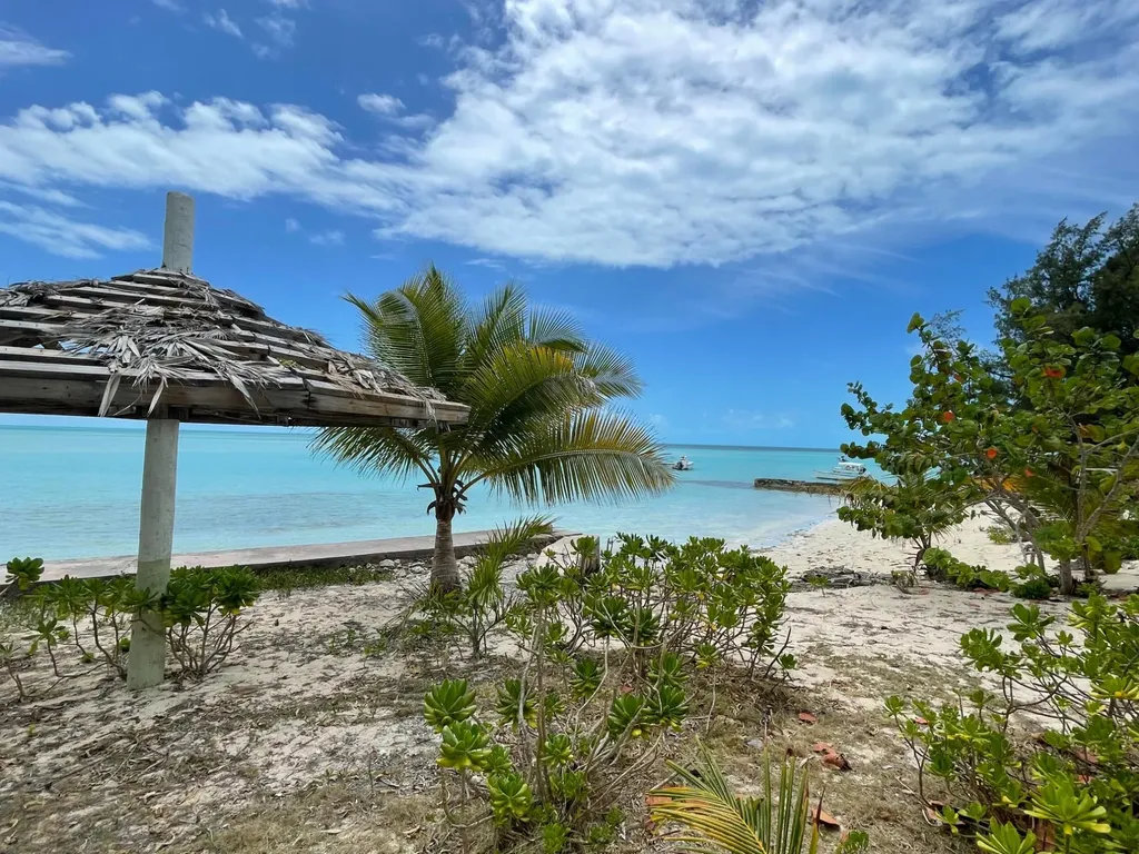 Current Club Eleuthera BS