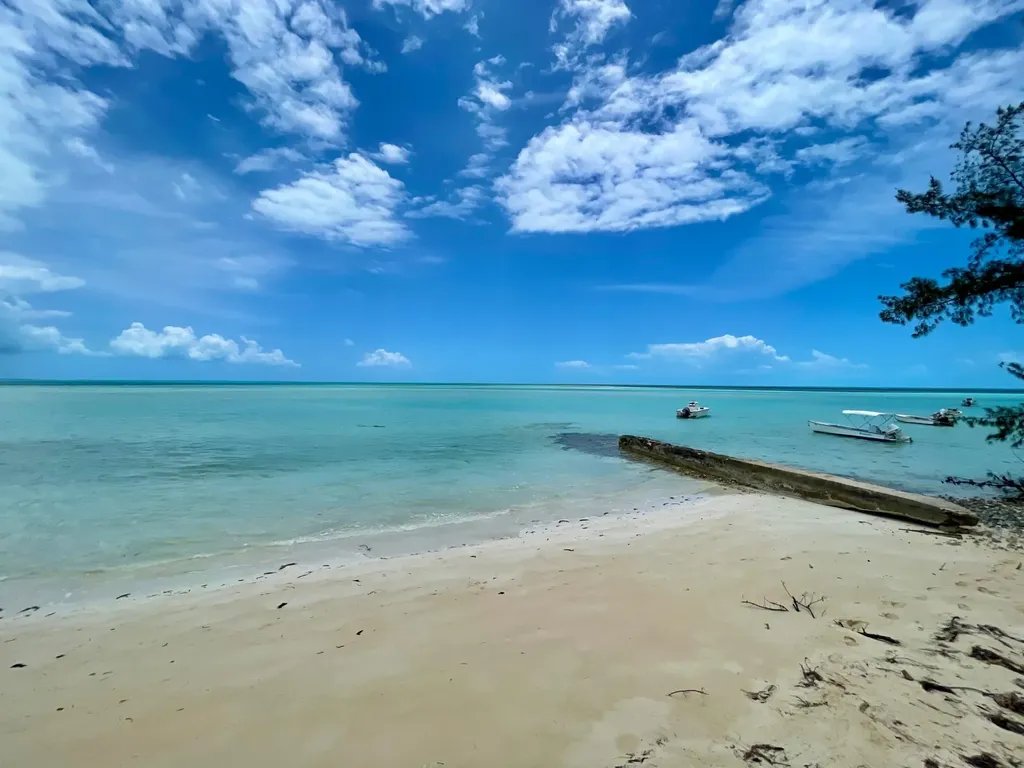 Current Club Eleuthera BS