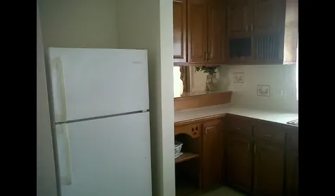 Tropical Gardens New Providence Paradise Island BS