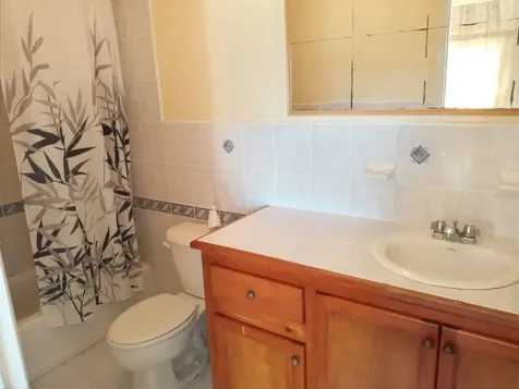 Tropical Gardens New Providence Paradise Island BS