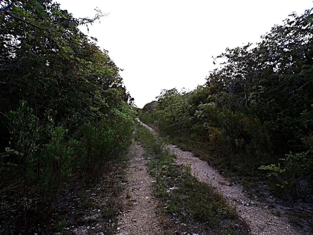 Plot# 20 O'neil's Long Island BS