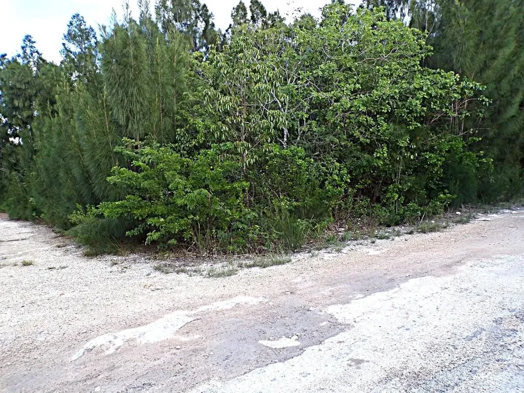 Plot# 20 O'neil's Long Island BS