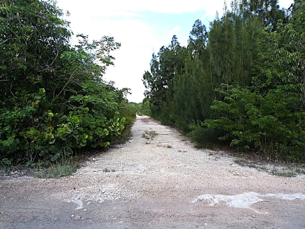 Plot# 20 O'neil's Long Island BS