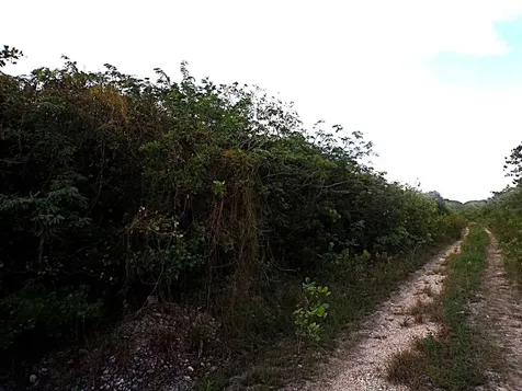 Plot# 20 O'neil's Long Island BS