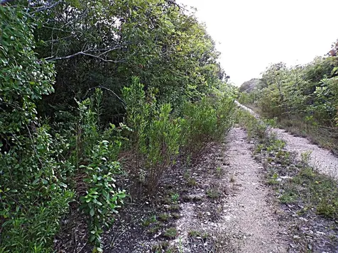 Plot# 20 O'neil's Long Island BS