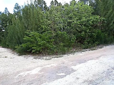 Plot# 20 O'neil's Long Island BS