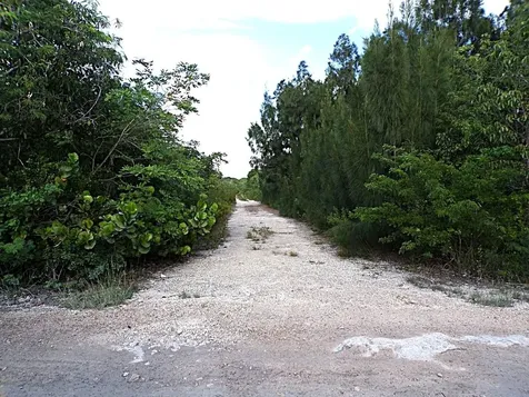 Plot# 20 O'neil's Long Island BS