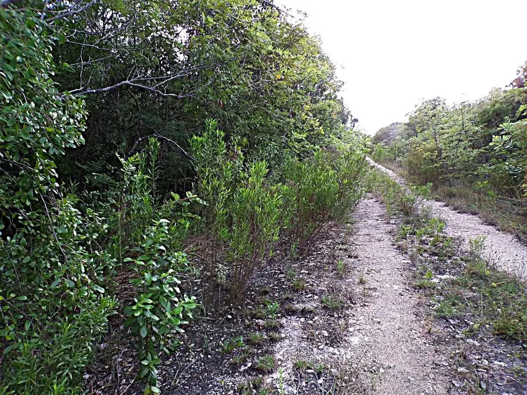 Plot# 11 O'neils Long Island BS