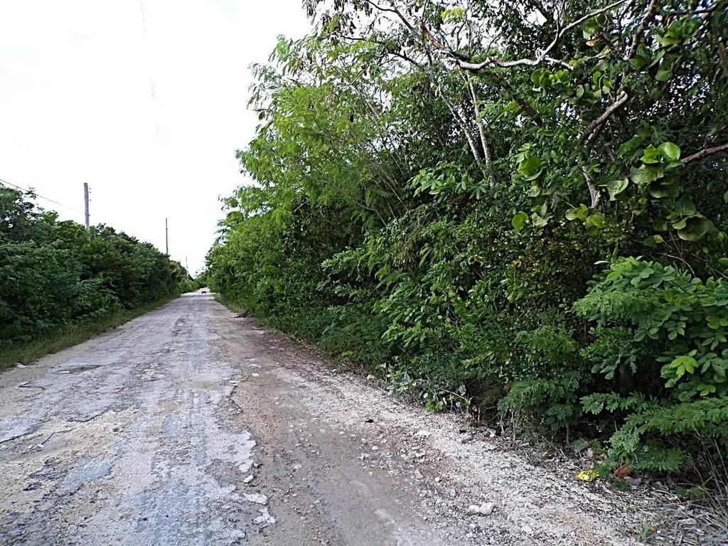 Plot# 11 O'neils Long Island BS