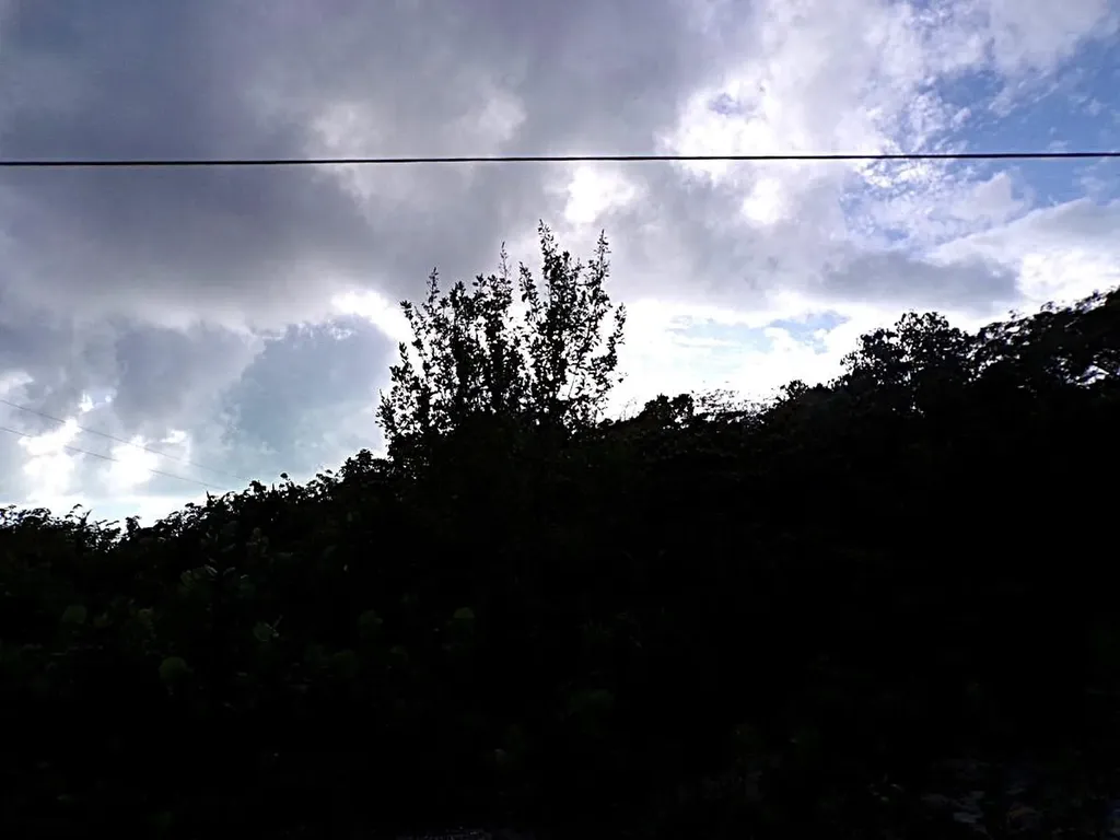 Plot# 11 O'neils Long Island BS