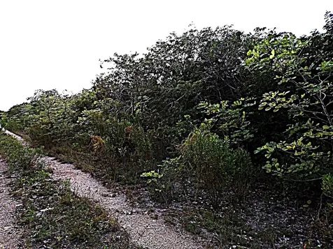 Plot# 11 O'neils Long Island BS