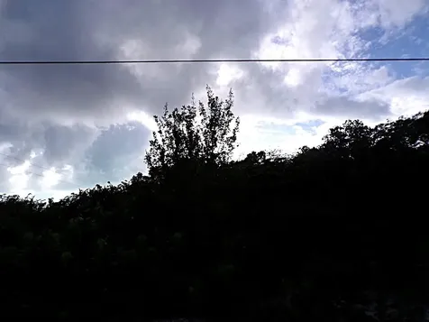 Plot# 11 O'neils Long Island BS