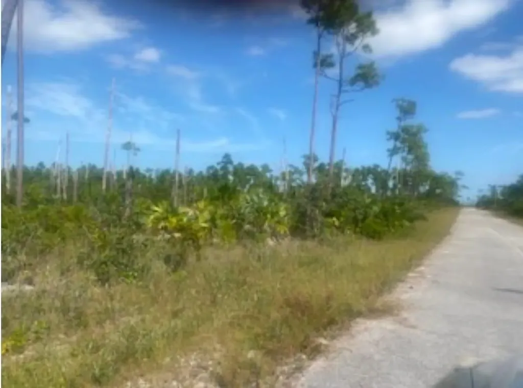 Barnacle Lane Grand Bahama Freeport BS